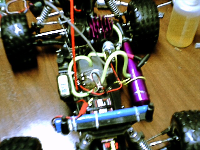 pol_0215.jpg